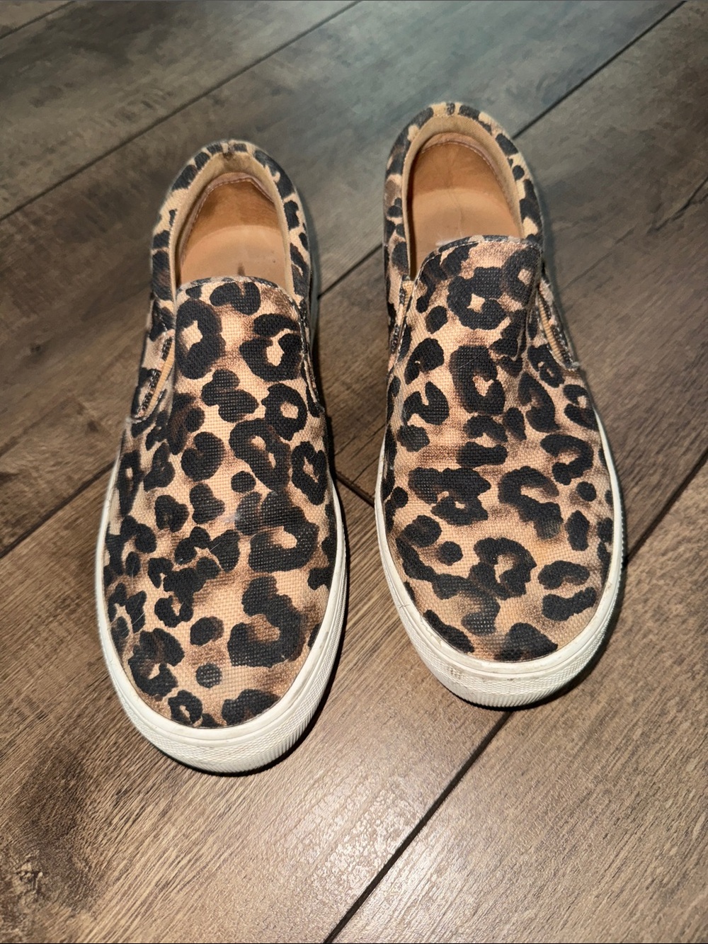 Steve Madden Leopard-Print Slip-On Sneakers in Tan and Black